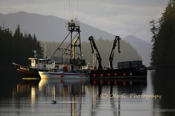 IMG_Gene s 3_3_2012