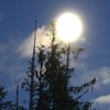 Alaska Full Moon