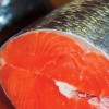 King Salmon
